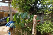 Urban Farming di Lahan Sempit Perumahan, Nuryami Bisa Hemat Uang Dapur