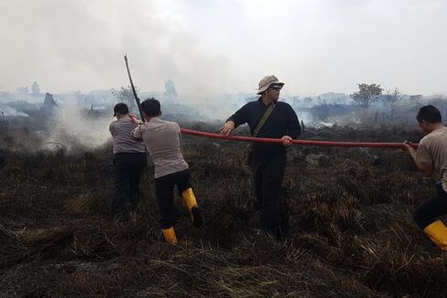 Lahan dan Hutan yang Terbakar di Riau Capai 1.962 Hektar