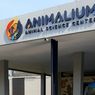 Asyiknya Wisata Sambil Belajar Mengenal Satwa di Animalium BRIN
