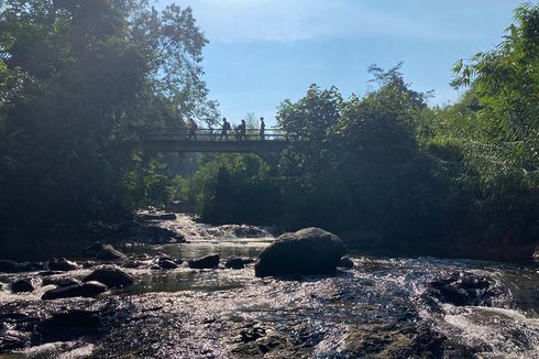 6 Tips Jelajahi Aliran Sungai Babakan Madang Bogor, Bawa Sandal Gunung