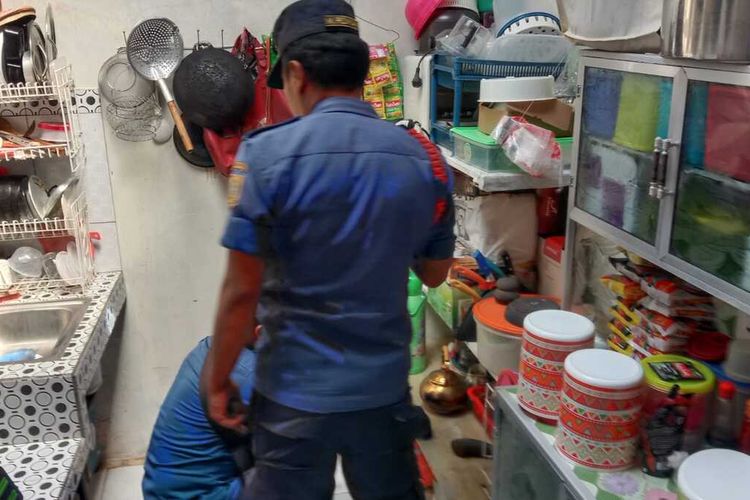 Petugas damkar Kabupaten Bogor Jawa Barat, berhasil evakuasi ular koros di Cibinong, Minggu (10/7/2022).