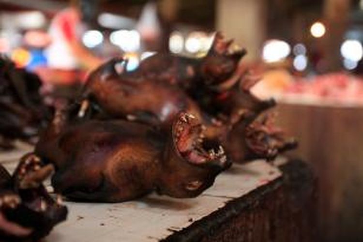 Kelelawar dijual di pasar tradisional Tomohon, Sulawesi Utara, Minggu (29/7/2012). Pasar ini menjual berbagai jenis daging hewan untuk dijadikan santapan. Beberapa hewan yang tidak lazim dimakan seperti ular, kelelawar, tikus, hingga kera juga kerap dijual di pasar ini.