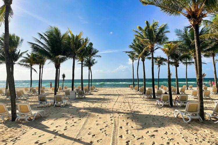 Pantai Meksiko Sepi Wisatawan, Rumput Laut dan Biaya Mahal Jadi Penyebab