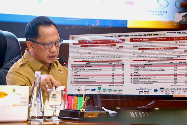 Susun Kebijakan Tepat Sasaran, Mendagri Ajak Pemda Maksimalkan DTSEN Versi 3