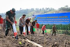 Lahan Perhutani Seluas 475 Hektar Ditanami Jagung, Ganjar: Jangan Lupakan Pohon Penahan Air