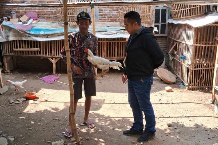 Warga menunjukkan petugas polisi seekor ayam yang berhasil diselamatkan dari aksi pencurian di Desa Tambibendo, Kecamatan Mojo, Kabupaten Kediri, Jawa Timur, Kamis (12/9/2024).
