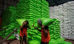 Stok Beras 5,4 Juta Ton, Tapi El Nino Menguji Ketahanan Pangan