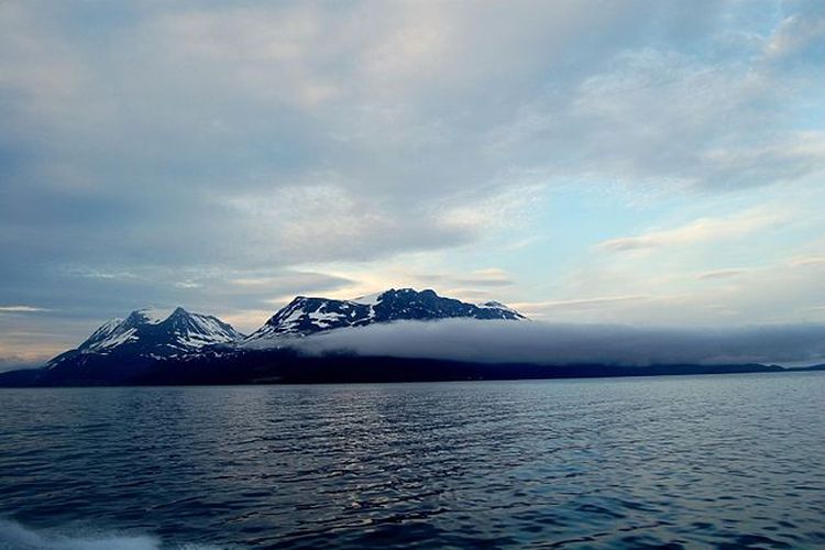 Samudra Arktik menjadi samudra terluas kelima di dunia. Samudra ini terletak di Kutub Utara.