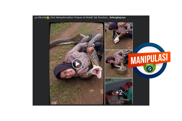 Hoaks, foto polwan meronta dililit ular piton