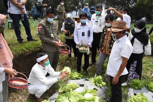 Dedi Mulyadi: Harga Sayuran Jatuh, Petani Harus Diberi Perhatian Khusus  