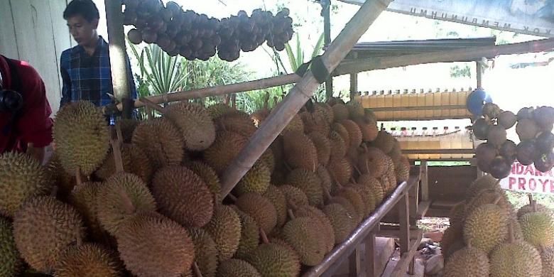 Buah durian di Bengkulu.