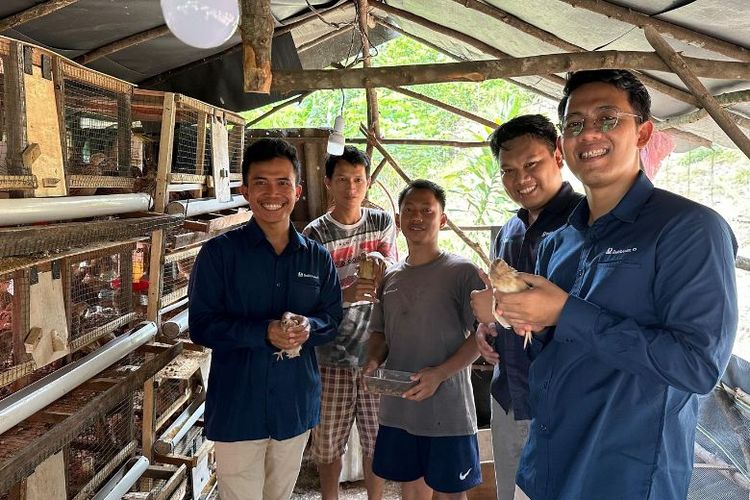 Budi daya Burung Puyuh di Desa Seleman. 