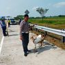 Pecah Ban, Mobil Pikap Pengangkut Kambing Terguling di Tol Ngawi-Solo