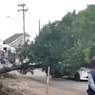 Video Viral Mobil Tertimpa Pohon di Sukoharjo, Polisi: Padahal Sudah Diberi Peringatan
