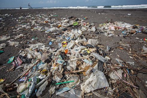 Studi Ungkap Jamur Dapat Membantu Mengatasi Sampah Plastik