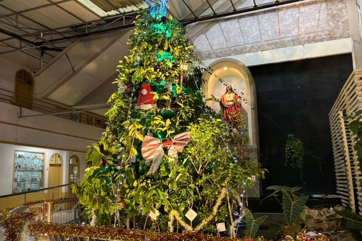 Pohon Natal dari tanaman buah di Gereja Katolik Kristus Raja Surabaya, Senin (23/12/2024).