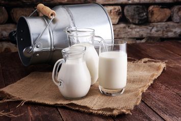 Susu Sapi Vs Susu Kambing, Mana yang Lebih Baik Dikonsumsi Anak?