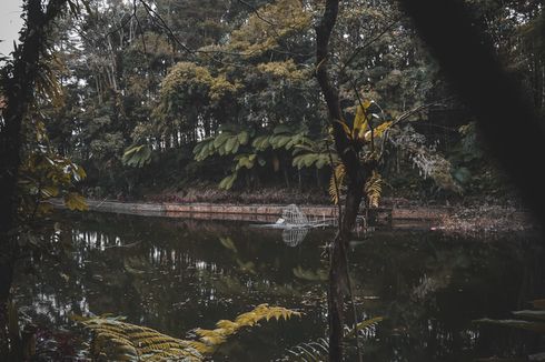 Sukses Jadi Film Indonesia Terlaris Sepanjang Masa, Di Mana Lokasi Asli Kisah KKN di Desa Penari?