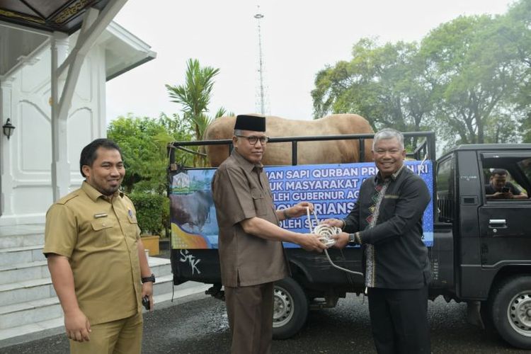 Gubernur Aceh, Nova Iriansyah, menyerahkan sapi kurban bantuan Preseiden RI untuk masyarakat Aceh yang diterima oleh Sekda Aceh Tengah, Subhandhy di halaman depan Pendopo Gubernur Aceh, Banda Aceh, (4/7/2022).