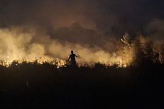 House Member: Forest Fires Ongoing for Three Months, Declare a National ...