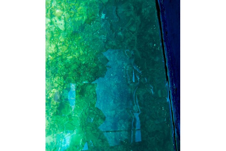 Pemandangan bawah laut Pantai Pasir Putih Situbondo dilihat dari kotak kaca.