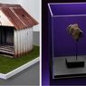 Pernah Ditimpa Meteor, Rumah Anjing Ini Terjual Seharga Rp 630 Juta