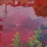 Air Kali Semarang Sempat Berubah Warna Jadi Merah Darah, DLH Sudah Cek