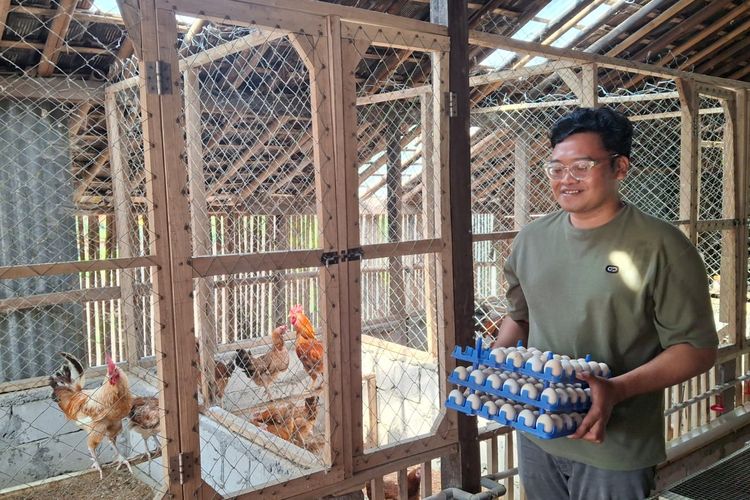 Kandang Ayam Tak Bau Meski Dekat Rumah? Ini Rahasianya
