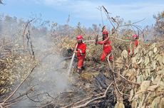 Lahan di Sumsel Terbakar, Bau Asapnya Menyengat sampai Palembang