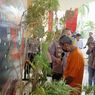 Lansia di Bandung Tanam 20 Batang Ganja di Rumahnya, Berdalih untuk Berobat