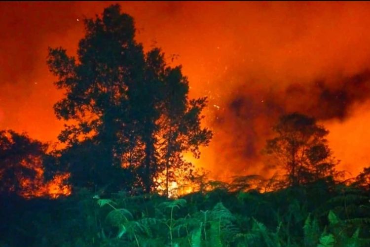 Api membara di lahan gambut di Desa Penyagun, Kecamatan Rangsang, Kabupaten Kepulauan Meranti, Riau, Sabtu (23/3/2024) malam.