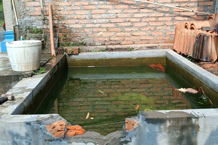 Kolam ikan milik warga berada di Desa Tanjung Makmur, Kecamatan Sinar Peninjauan, Kabupaten Ogan Komering Ulu (OKU), Sumatera Selatan. Di kolam ini, seorang balita perempuan berumur 2 tahun tewas tenggelam saat sedang bermain air, Kamis (30/5/2024).
