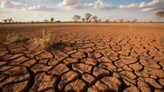 Dampak El Nino, BMKG Sebut Kemarau di Buleleng dan Nusa Penida Lebih Kering Tahun Ini