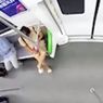 Rekam Alat Kelamin di Komuter yang Penuh Penumpang, Wanita Ini Ditahan