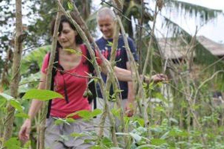 Wisatawan Jerman tengah melakukan aktivitas trekking dengan menyusuri pematang yang ditumbuhi kacang-kacangan dan tanaman sayur lainnya di Dusun Tabola, Sidemen, Karangasem, Bali.