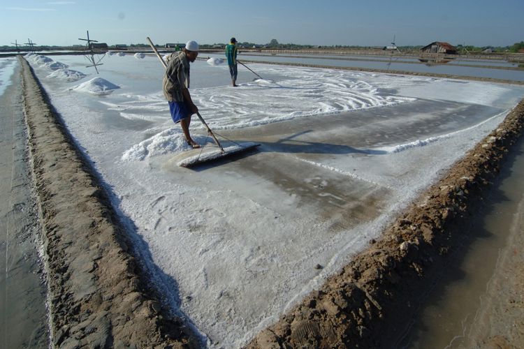 Petani memanen garam di lahan garam konvensional di Desa Bunder, Padewamu, Pamekasan, Jawa Timur, Selasa (25/7/2017). Harga garam di tingkat petani di Madura tahun ini mencapai Rp 3,3 juta hingga Rp 3,5 juta per ton. 