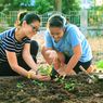 7 Langkah Membuat Kebun di Rumah Lebih Ramah Lingkungan