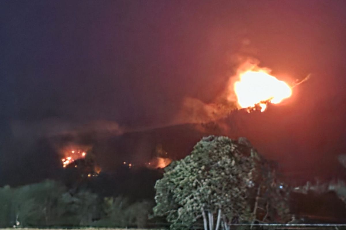 Kebakaran hutan di Desa Hutagaol Peatalun dan Desa Sibuntuon Kecamatan Balige, Kabupaten Toba, Selasa (24/6/2025).