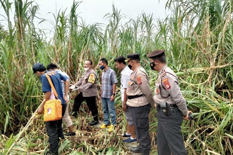 Polisi saat berada di lokasi penemuan kerangka manusia di di area persawahan daerah Gesikan, Sidoarum, Kapanewon Godean, Kabupaten Sleman. (Foto Dokumentasi Humas Polresta Sleman).