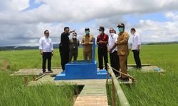 Kementan Gelar Bimtek On The Spot, 4 Petani Ini Bagikan Pengalamannya