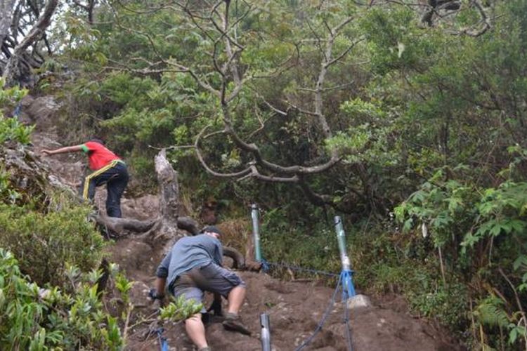 Salah Satu Jalur Terjal yang Dilalui Saat Mendaki Gunung Gede, Taman Nasional Gede Pangrango, Bogor, Jawa Barat