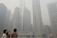 Presiden: Hukum Perusahaan Penyebab Asap Riau!