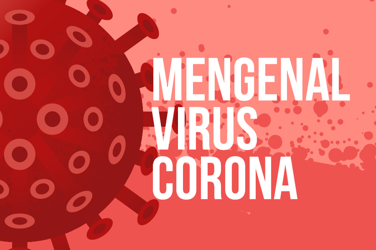 INFOGRAFIK: Mengenal Virus Corona, Kelompok Virus yang Tak Hanya Sebabkan Covid-19