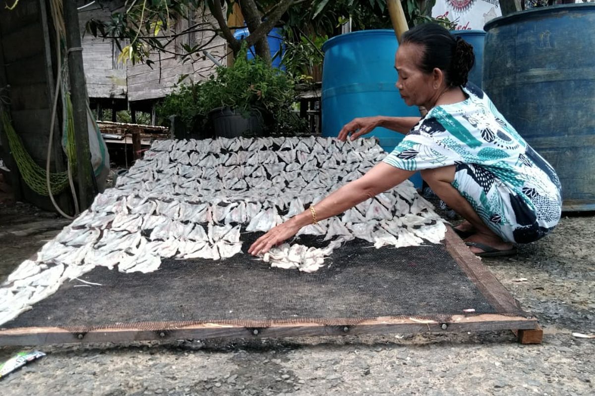 Salah satu nelayan Sebatik sedang menjemur ikan tipis atau ikan terutu. Ikan tipis menjadi sumber ekonomi masyarakat pesisir Sebatik, pelarangan trawl menjadi keluhan nelayan tradisional Sebatik