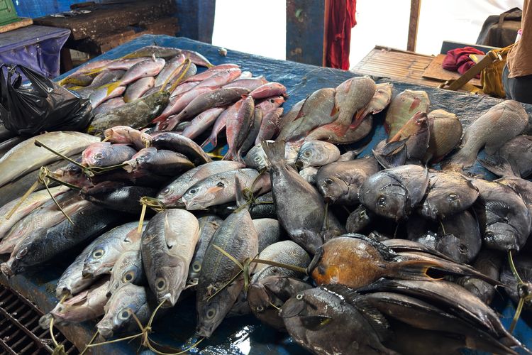 Jual Ikan Mentah ke Luar Daerah, Sulbar Hilang Potensi Rp 39 M per Tahun