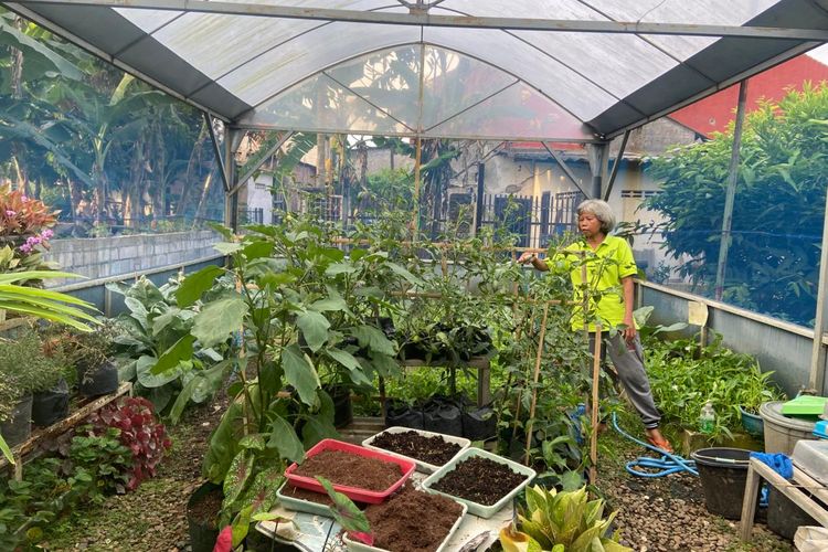 Dari Obrolan Kecil, Ibu-ibu di Semarang Sulap Lahan Terbengkalai Jadi Kebun Subur