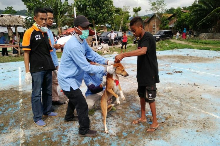 Tim Eliminasi saat memberikan vaksinasi terhadap anjing peliharaan warga di Dompu, Selasa (12/2/2019). 