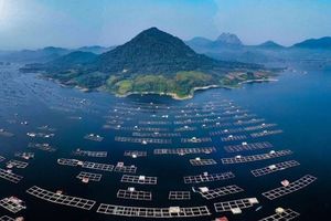 Jatiluhur, Data Center, dan Pertanyaan Tentang Air