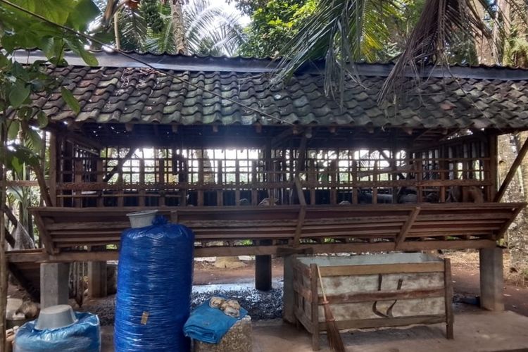 Kandang kambing yang menjadi TKP pencurian di Desa Temuasri, Kecamatan Sempu, Banyuwangi