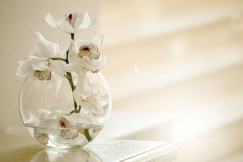 Cara Membersihkan Vas Bunga Berbahan Kaca agar Tidak Kusam